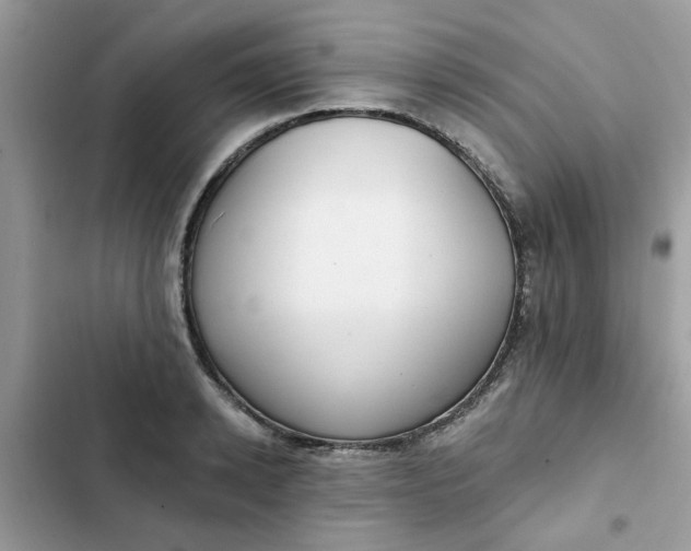 X0000102350942200808151747