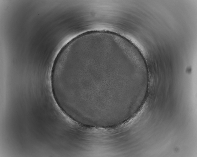 X0000102350943200808151747