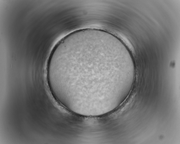 X0000102350944200808151747