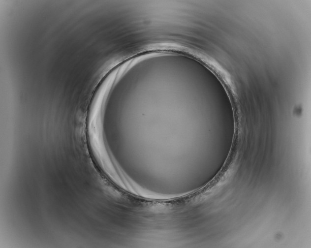 X0000102350945200808151747