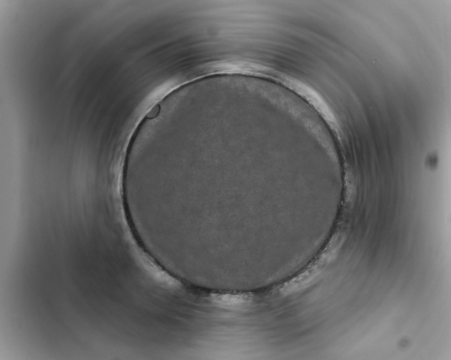 X0000102350946200808151747