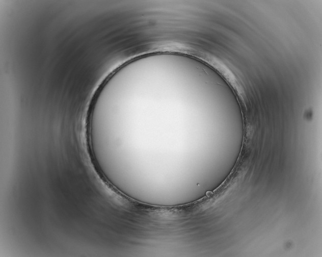 X0000102350947200808151747