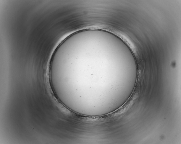 X0000102350948200808151747