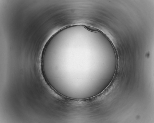 X0000102350949200808151747