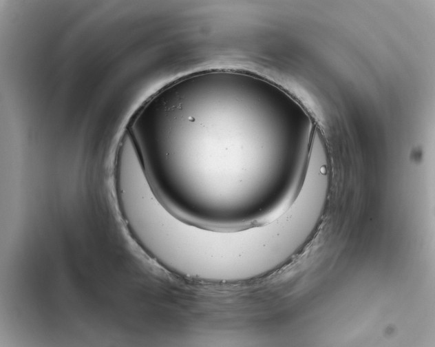 X0000102350950200808151747