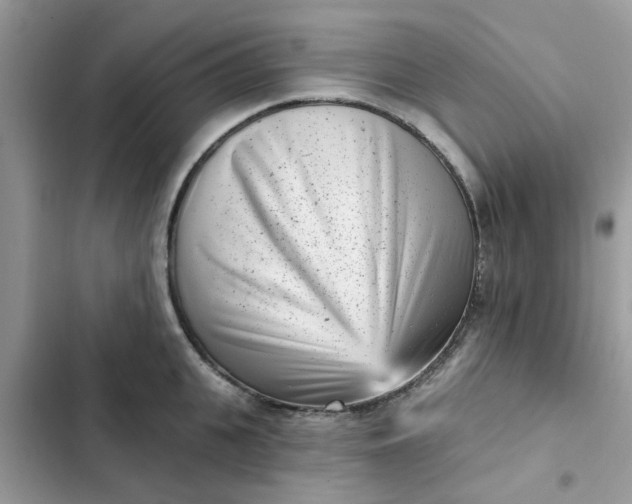 X0000102350951200808151747