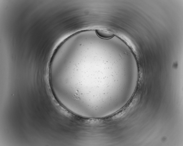 X0000102350952200808151747