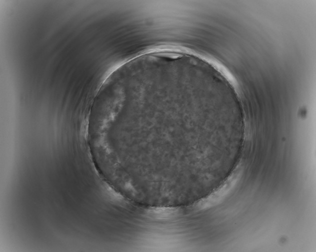 X0000102350953200808151747