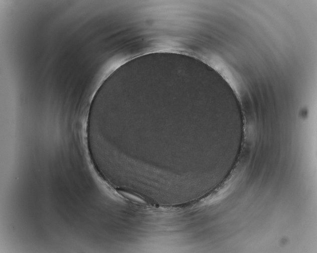 X0000102350954200808151747