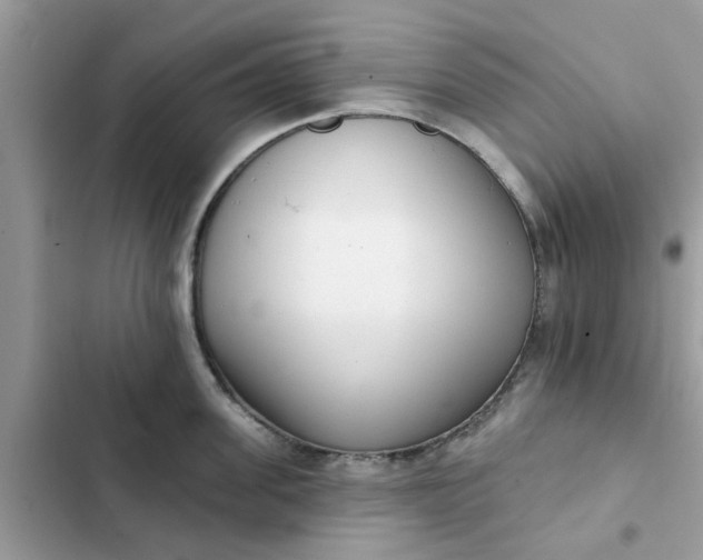 X0000102350955200808151747