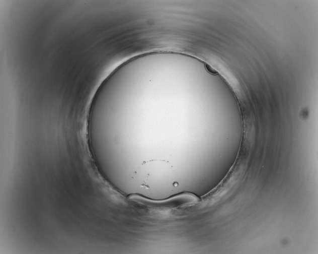 X0000102350956200808151747