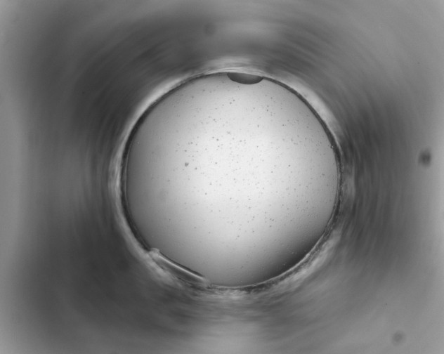 X0000102350957200808151747