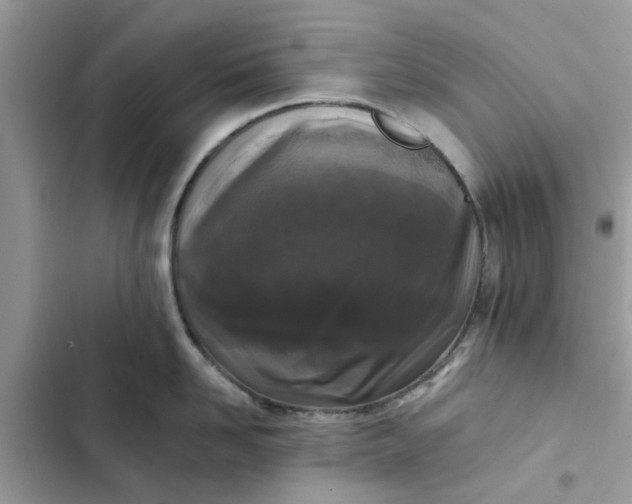 X0000102350958200808151747