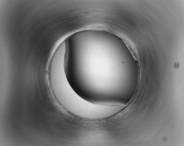 X0000102350960200808151747