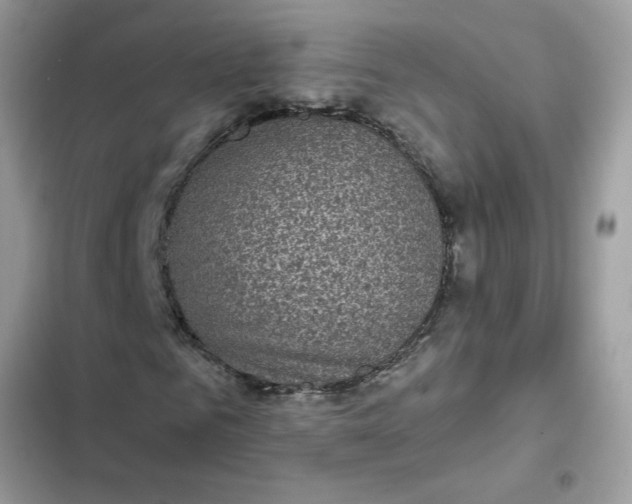 X0000102350961200808151747