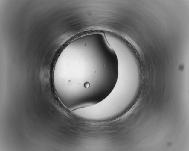 X0000102350969200808151747