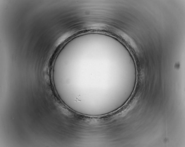 X0000102350970200808151747