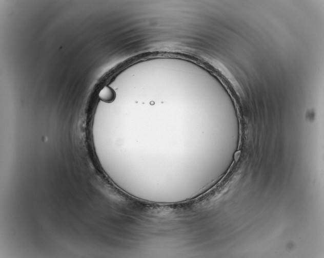 X0000102350971200808151747