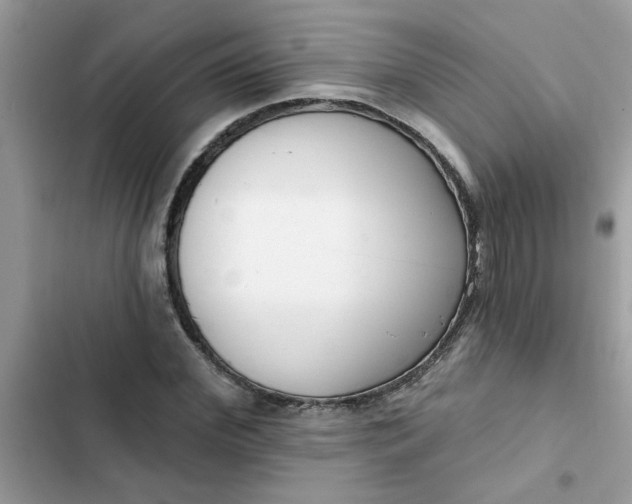 X0000102350972200808151747