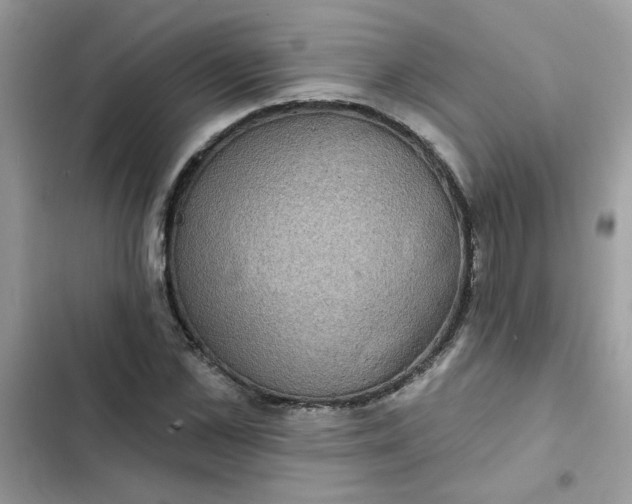 X0000102350973200808151747