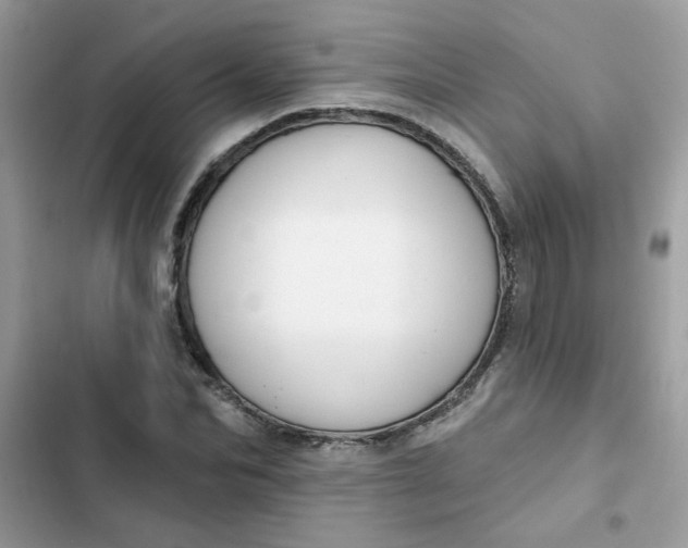 X0000102350974200808151747