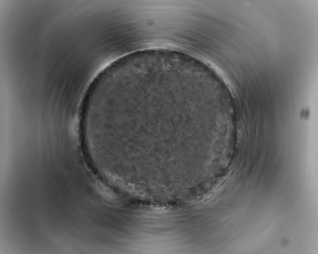 X0000102350975200808151746