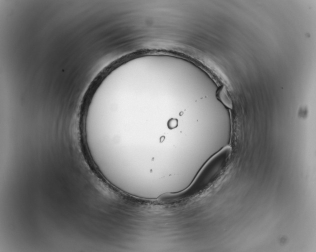 X0000102350976200808151746