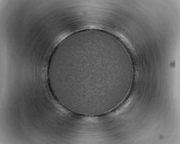 X0000102350977200808151746