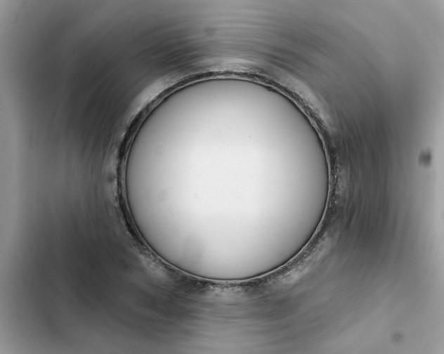 X0000102350978200808151746