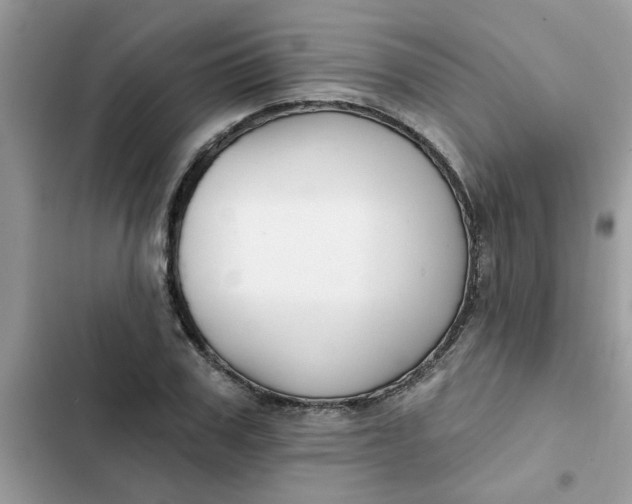 X0000102350979200808151746