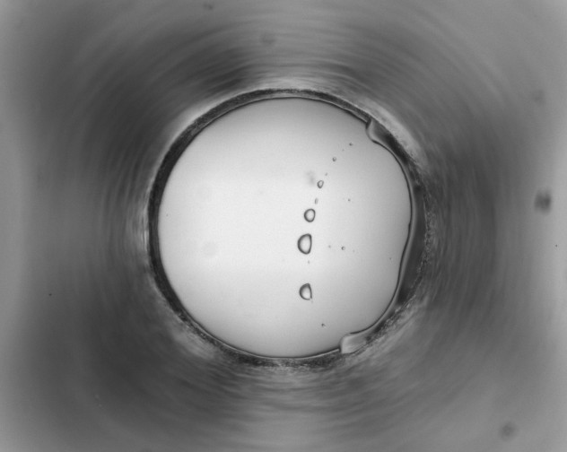 X0000102350980200808151746