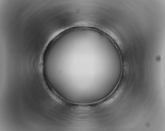 X0000102350981200808151746