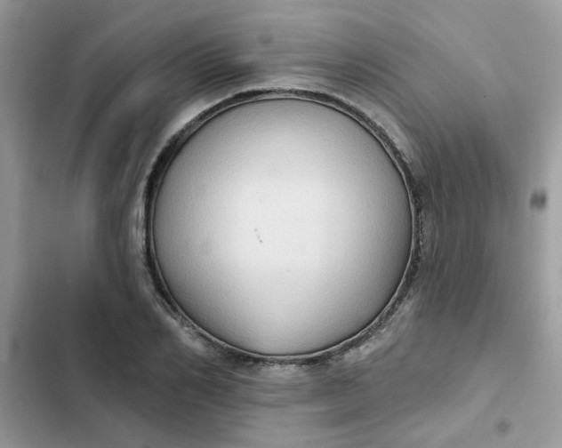 X0000102350982200808151746