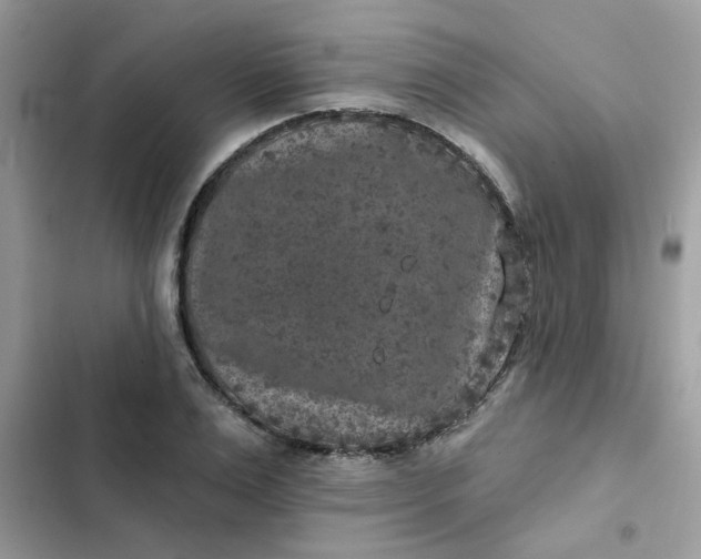 X0000102350983200808151746