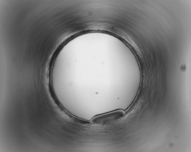 X0000102350984200808151746