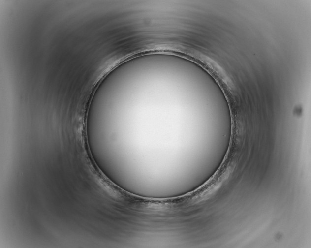 X0000102350985200808151746