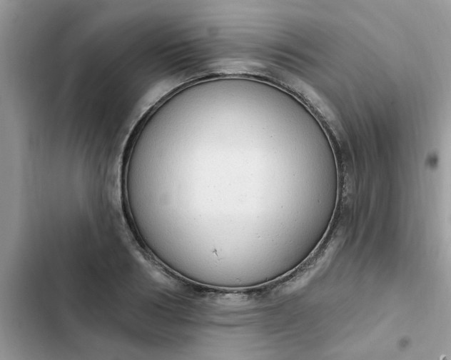 X0000102350986200808151746