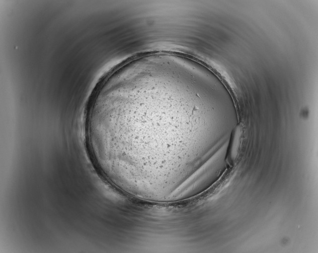 X0000102350987200808151746