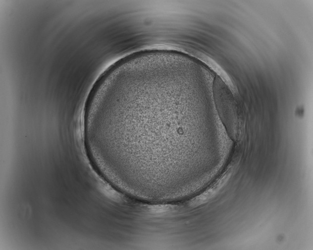 X0000102350988200808151746