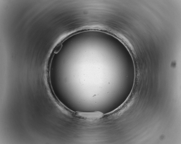 X0000102350989200808151746