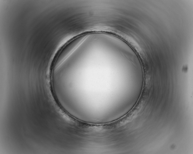 X0000102350990200808151746