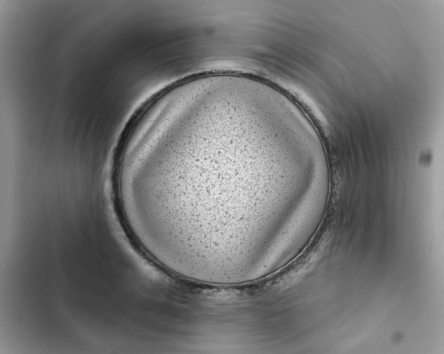 X0000102350991200808151746