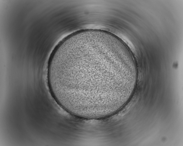 X0000102350992200808151746