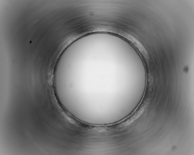 X0000102350993200808151746