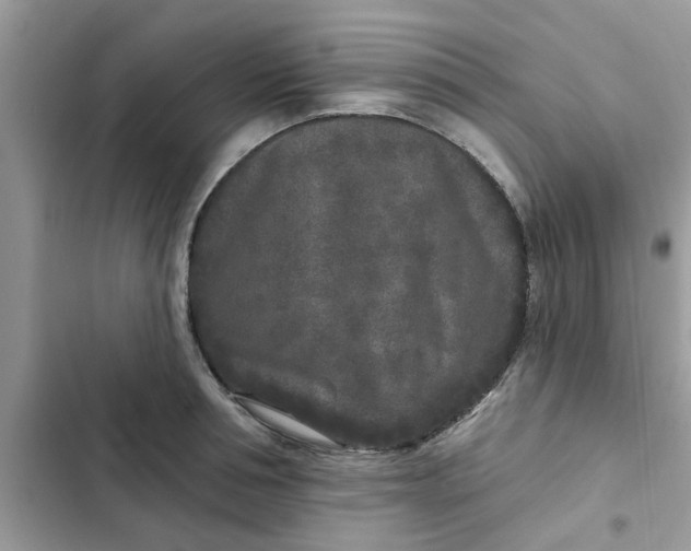 X0000102350994200808151746