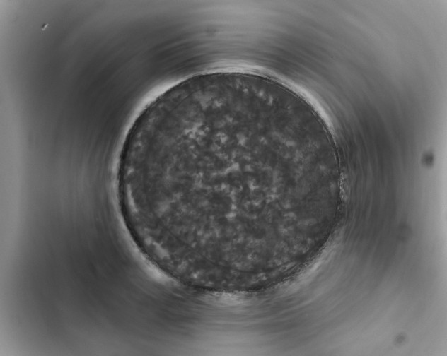 X0000102350995200808151746