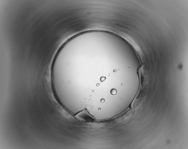 X0000102350996200808151746