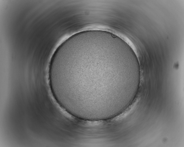 X0000102350997200808151746