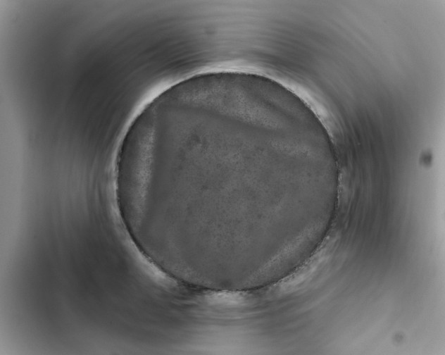 X0000102350998200808151746