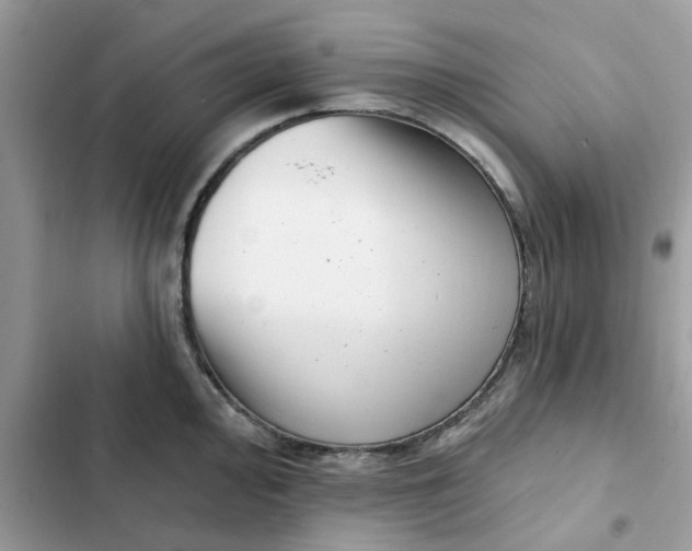 X0000102351000200808151746